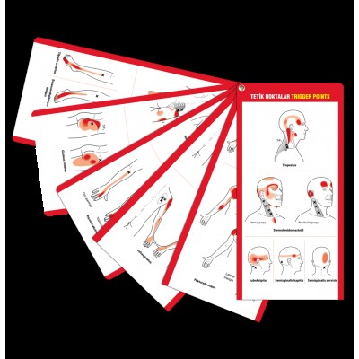 Tetik Noktalar Trigger Points