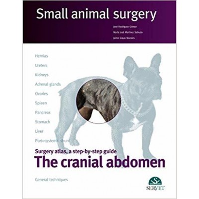 The Cranial Abdomen Small Animal Surgery