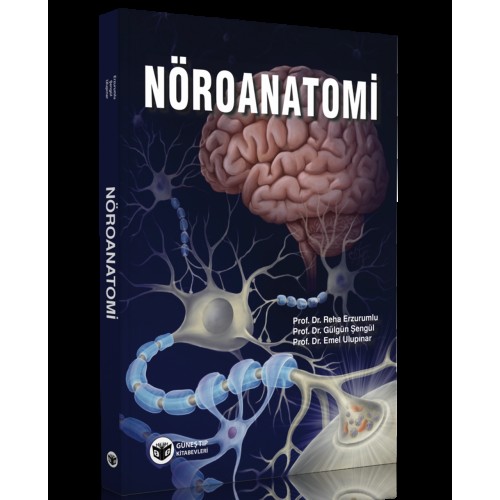 Nöroanatomi Nöroanatomi