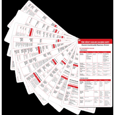 Tüm Vücut Kasları Çalışma Cep Kartı
