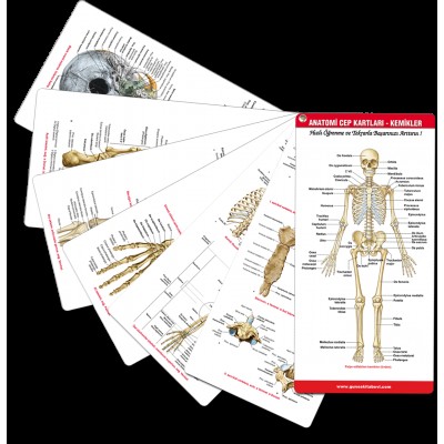 Anatomi Cep Kartları - Kemikler