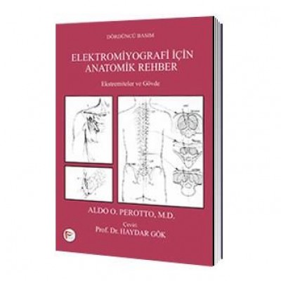 Elektromiyografi için Anatomik Rehber, Ekstremiteler ve Gövde