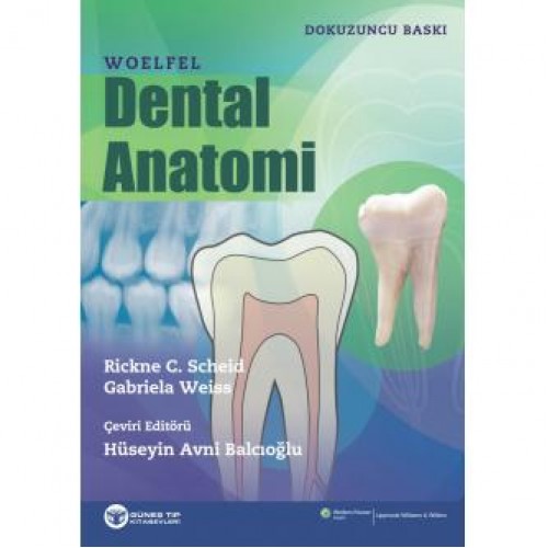 Woelfel Dental Anatomi