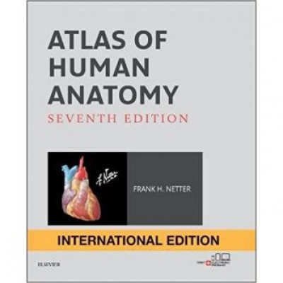 Netter Atlas of Human Anatomy International Edition, 7th Edition