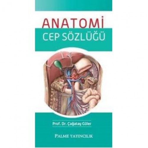 Anatomi Cep Sözlüğü