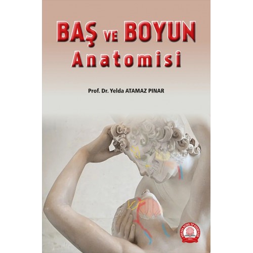 Baş ve Boyun Anatomisi Baş ve Boyun Anatomisi