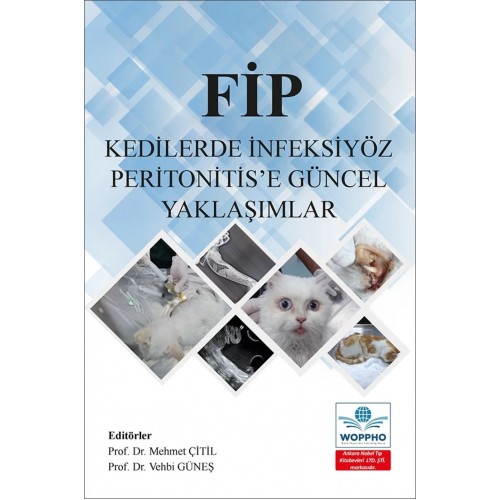 FİP Kedilerde İnfeksiyöz Peritonitis’e Güncel Yaklaşımlar FİP Kedilerde İnfeksiyöz Peritonitis’e Güncel Yaklaşımlar
