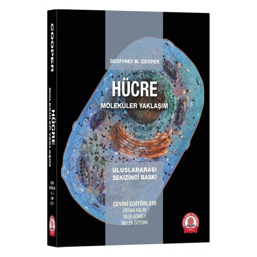 Hücre Moleküler Yaklaşım Hücre Moleküler Yaklaşım