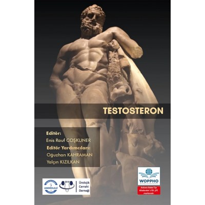 Testosteron Testosteron